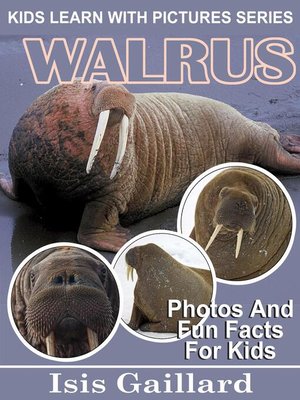 cover image of Walrus Photos and Fun Facts for Kids